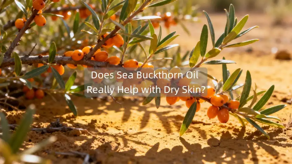 Does Sea Buckthorn Oil Really Help with Dry Skin?